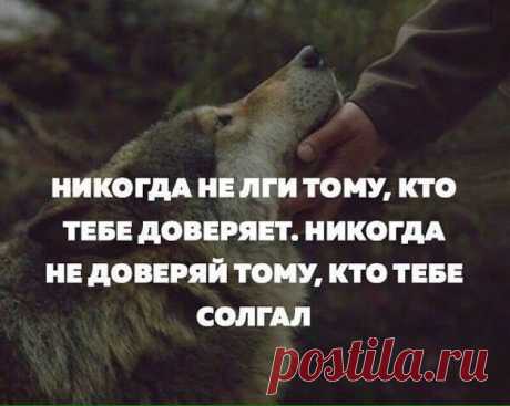 Очень красивые и мудрые цитаты