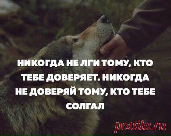 Очень красивые и мудрые цитаты