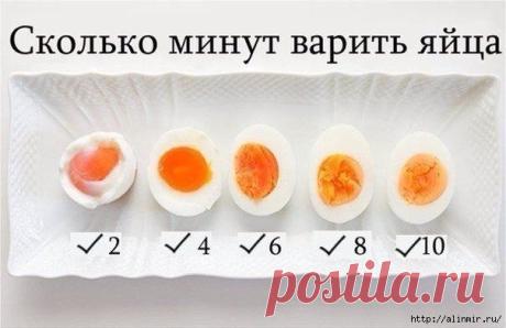 Сколько варить яйца.