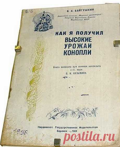 История про коноплю (24 фото)