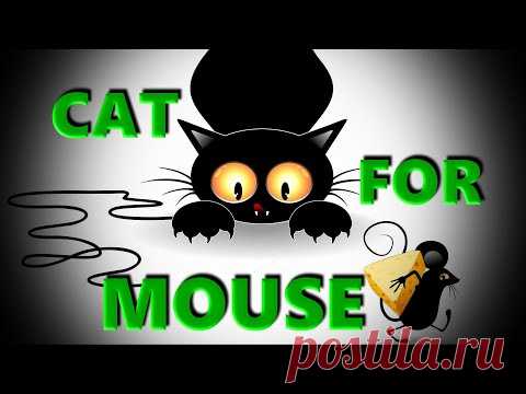 Мышка для кота - игра для кошек и котят - YouTube