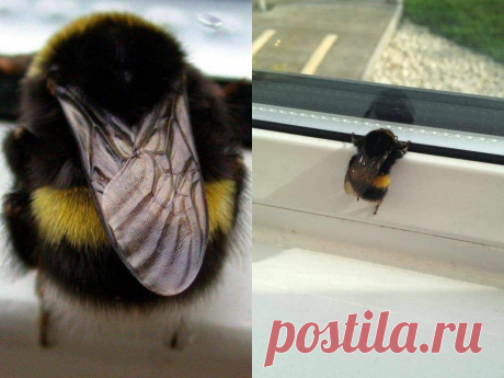 Home / Twitter