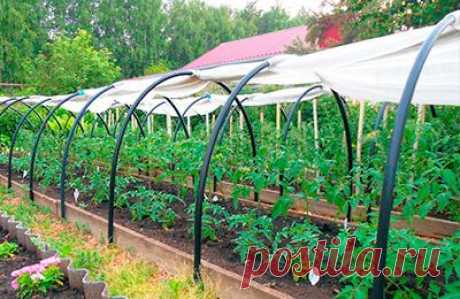 Парник «Подснежник»