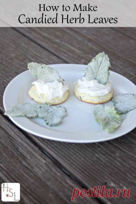 How to Make Candied Herb Leaves Make candied herb leaves as a fun way to preserve homegrown herbs and make a beautiful presentation on homemade baked goods.