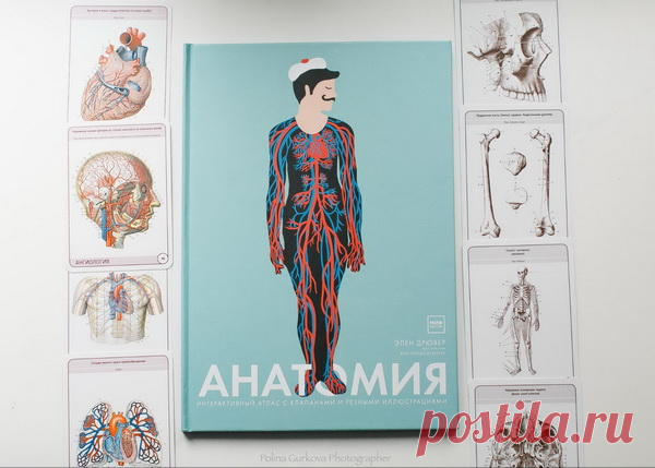 Книги об удивительных мирах: о мощном и необъятном океане и человеческом организме. Автора иллюстраций — великолепную Элен Дрювер — многие помнят по книге «Прогулки с Мэри Поппинс». Резные иллюстрации невероятной красоты, клапаны, качественный подбор материала, захватывающая подача — все это отличает книги Элен.
