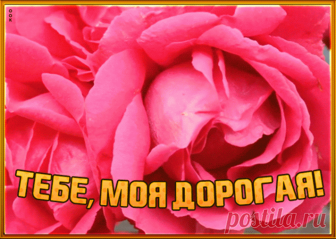 Картинка гиф с розами