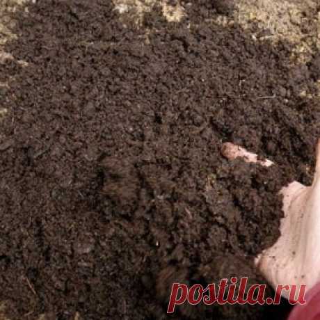 Очищаем тепличный грунт