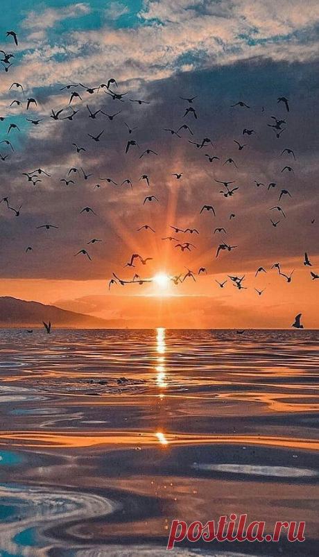 (17) Pinterest