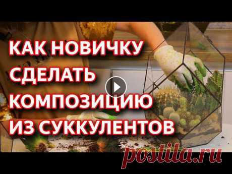 Флорариум из суккулентов своими руками. Простой способ как сделать флорариум из суккулентов своими руками. Как сделать композицию из суккулентов своим...