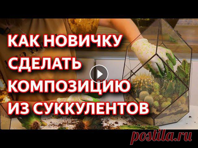 Флорариум из суккулентов своими руками. Простой способ как сделать флорариум из суккулентов своими руками. Как сделать композицию из суккулентов своим...