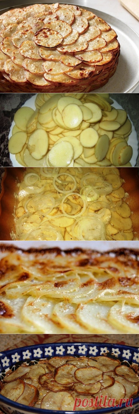 (34) Одноклассники Картошка