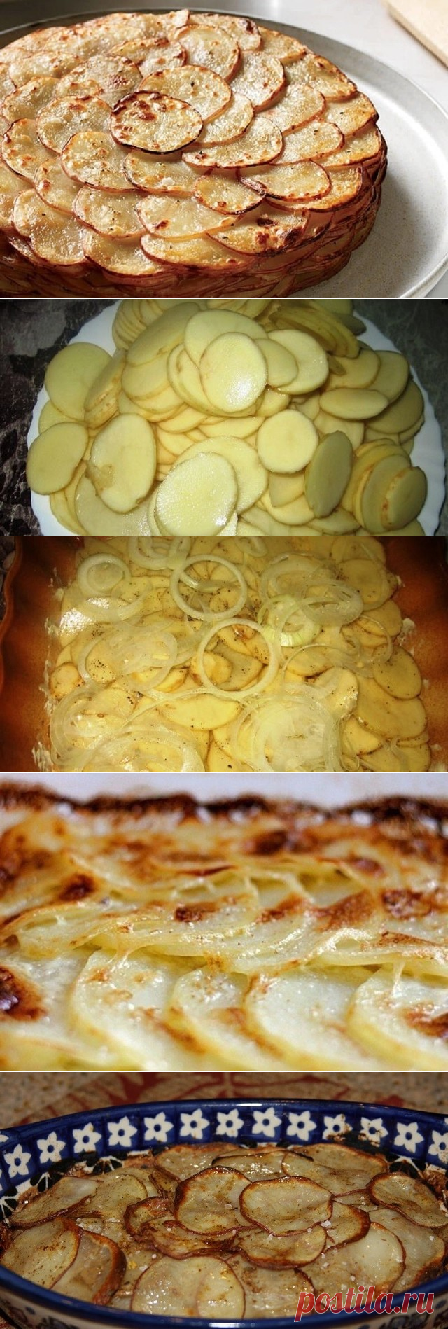 (34) Одноклассники Картошка