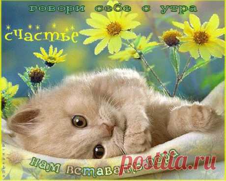 Одноклассники