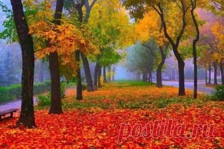 (2) Facebook