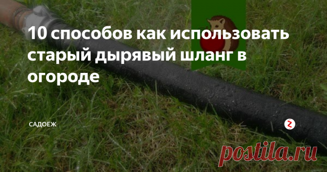 10 способов как использовать старый дырявый шланг в огороде Как и куда можно применить старый шланг на дачном участке