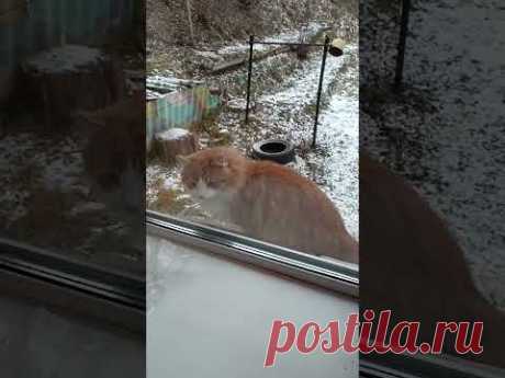 6 декабря 2024 г.