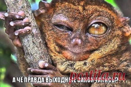 Интересные новости