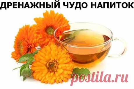 Дренажный напиток
Задержка воды в жировой ткани часто приводит к целлюлиту, лишнему весу и отекам. При этом обменные процессы замедляются, а эффективность диет резко уменьшается. В такой ситуации поможет дренаж жировой ткани. Это выведение лишней жидкости из организма, вследствие чего, сжигание жира будет проходить более интенсивно.
В домашних условиях помогут дренажные напитки. Действуют они в трех направлениях: тонизируют, дренируют, сжигают жиры.
Рецепт № 1
2 ст.л. изме...