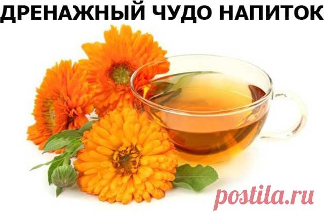 Дренажный напиток
Задержка воды в жировой ткани часто приводит к целлюлиту, лишнему весу и отекам. При этом обменные процессы замедляются, а эффективность диет резко уменьшается. В такой ситуации поможет дренаж жировой ткани. Это выведение лишней жидкости из организма, вследствие чего, сжигание жира будет проходить более интенсивно.
В домашних условиях помогут дренажные напитки. Действуют они в трех направлениях: тонизируют, дренируют, сжигают жиры.
Рецепт № 1
2 ст.л. изме...