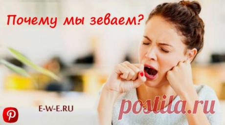 Почему мы зеваем: 11 интересных фактов о зевоте! На самом деле никто точно не знает, что является истинной причиной зевоты. Сегодня мы постараемся разобраться с этим интересным явлением и расскажем необычные факты о зевоте!Зевота: 11 интересных факт...