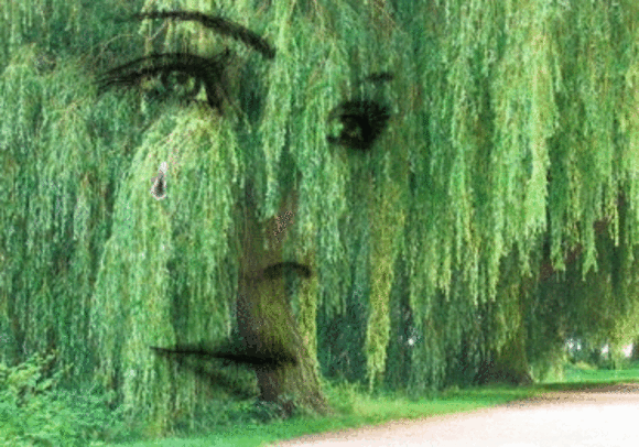 По твоей щеке текла слеза.