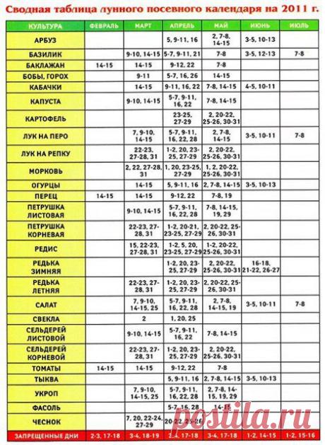 3f33388d0380.jpg (468×640)