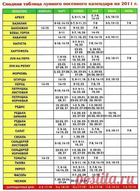 3f33388d0380.jpg (468×640)