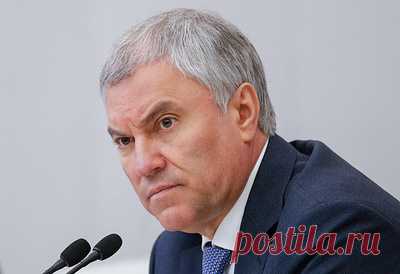 Володин отметил особое значение российско-вьетнамской межпарламентской комиссии. Это позволит активнее развиваться экономике в интересах и России, и Вьетнама, отметил председатель Госдумы РФ