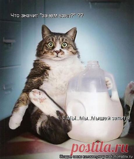 ВЗЯТО С ИНЕТА.