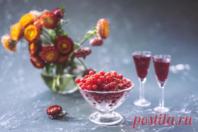 Домашнее вино из смородины: пошаговая инструкция приготовления