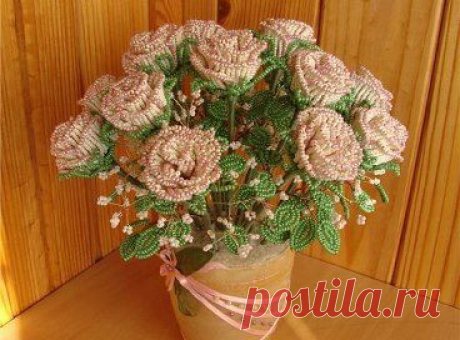 Одноклассники