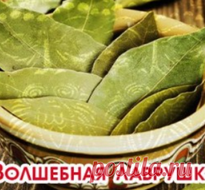 Волшебная лаврушка!