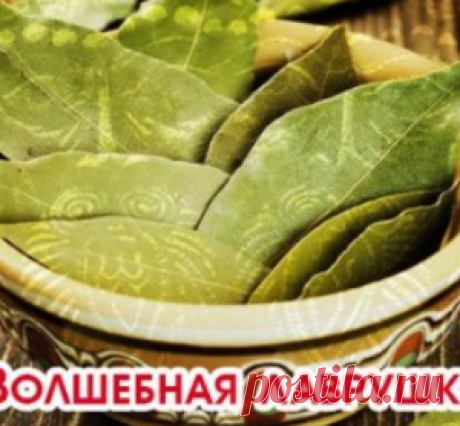 Волшебная лаврушка!