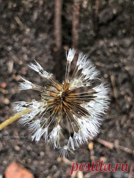 Когда доброта выходит боком
Забавная штука — жизнь. А вы знаете откуда у меня эти шрамы? Это сказал один из них самых любимых персонажей — Джокер. А я начинала писать другое. Забавно, что пазл сошелся таки диковинным образом. Я хотела написать, что забавная штука жизнь — только я задумала написать про доброту и тот вред, который она приносит, как […]
Читай дальше на сайте. Жми подробнее ➡