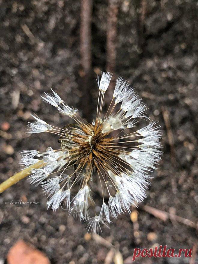 Когда доброта выходит боком
Забавная штука — жизнь. А вы знаете откуда у меня эти шрамы? Это сказал один из них самых любимых персонажей — Джокер. А я начинала писать другое. Забавно, что пазл сошелся таки диковинным образом. Я хотела написать, что забавная штука жизнь — только я задумала написать про доброту и тот вред, который она приносит, как […]
Читай дальше на сайте. Жми подробнее ➡