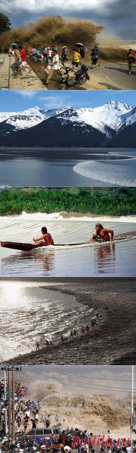 Уникальная приливная волна