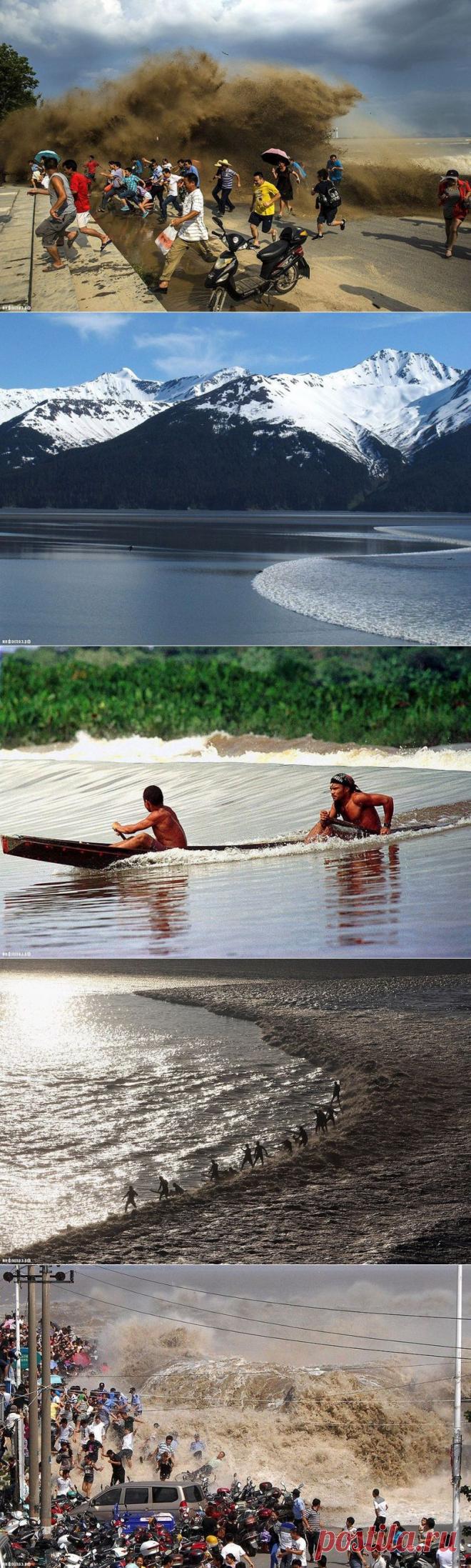 Уникальная приливная волна