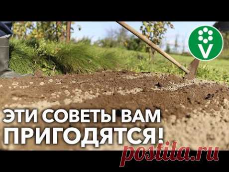 САДОВЫЕ ХИТРОСТИ ДЛЯ САДА И ОГОРОДА! Легко и просто – убедитесь сами!