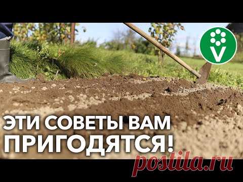 САДОВЫЕ ХИТРОСТИ ДЛЯ САДА И ОГОРОДА! Легко и просто – убедитесь сами!