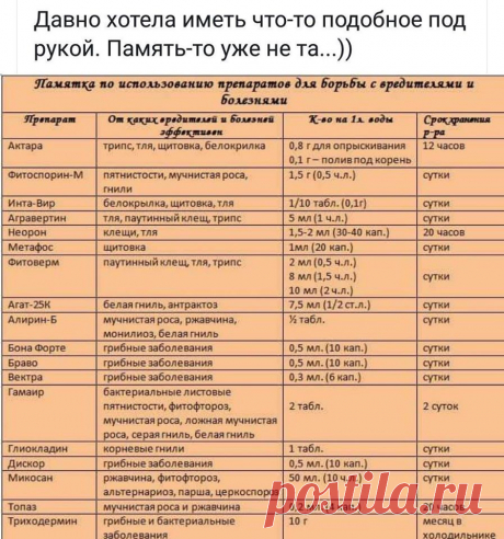 (20) Сад и огород | Дачные советы