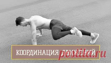 В статье «Координация движений» Вы узнаете процесс взаимодействия множества систем организма, их особенности, и как это влияет на спортивные результаты.