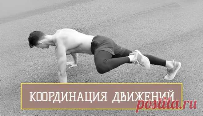 В статье «Координация движений» Вы узнаете процесс взаимодействия множества систем организма, их особенности, и как это влияет на спортивные результаты.