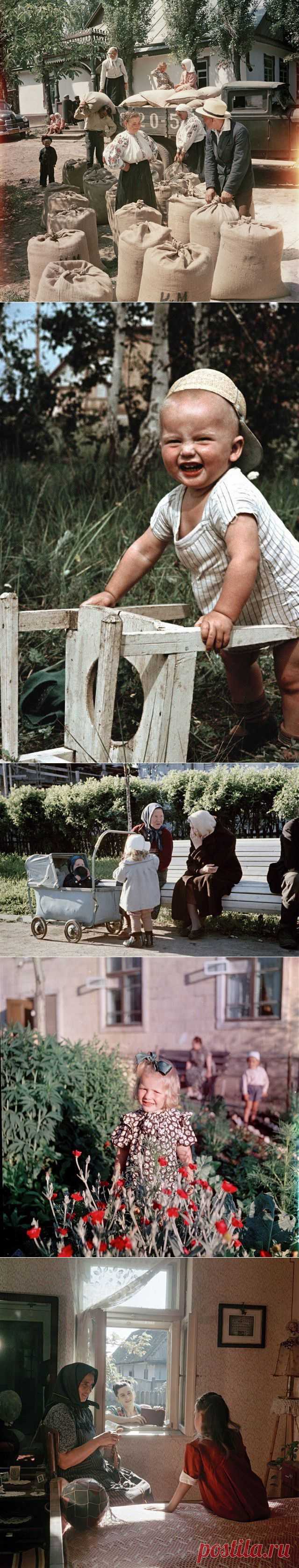 1950-е в цветных фотографиях / Назад в СССР / Back in USSR
