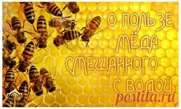 Медовая вода – это поистине потрясающее... / Здоровье и спорт / Рецепты здоровья / Pinme.ru