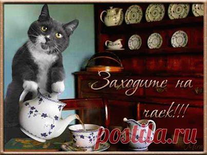 SurpriSse.com (Музыкальные открытки)