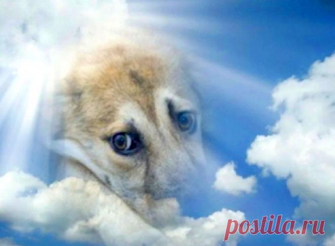 Недавно мне сон необычный приснился...