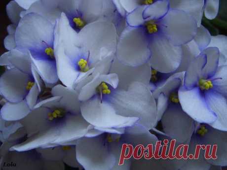 Лето | Фотографии Ксюша Ксюшина | 201 фото