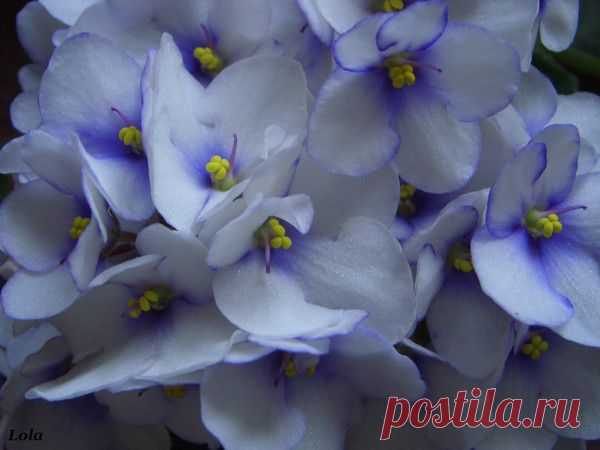 Лето | Фотографии Ксюша Ксюшина | 201 фото