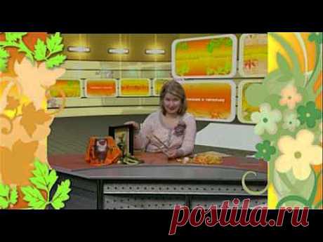 Листики одуванчика - YouTube