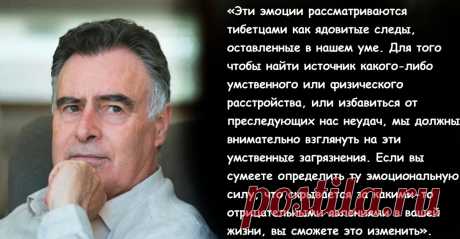 «Тибетцы выделяют семь эмоций, которые порождают невезение и болезни». Кристофер Хансард о том, как тибетцы устраняют отрицательные эмоции | Просто Жить | Дзен
